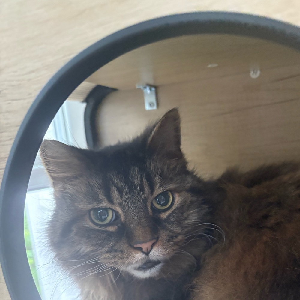 Meet your Posher, Cassie